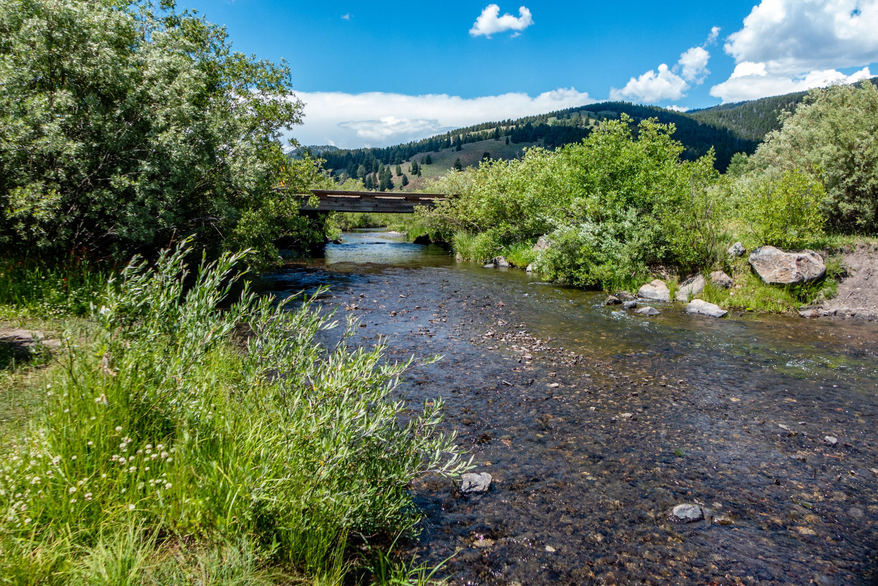 West Camas Creek